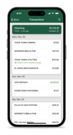iphone_transactions_checking_list_light